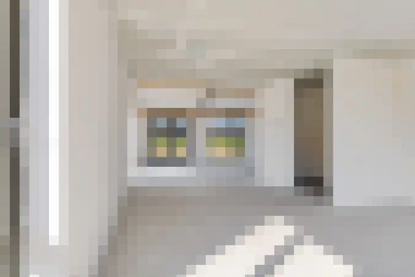 Rietkamer 45 Genemuiden thumbnail 18