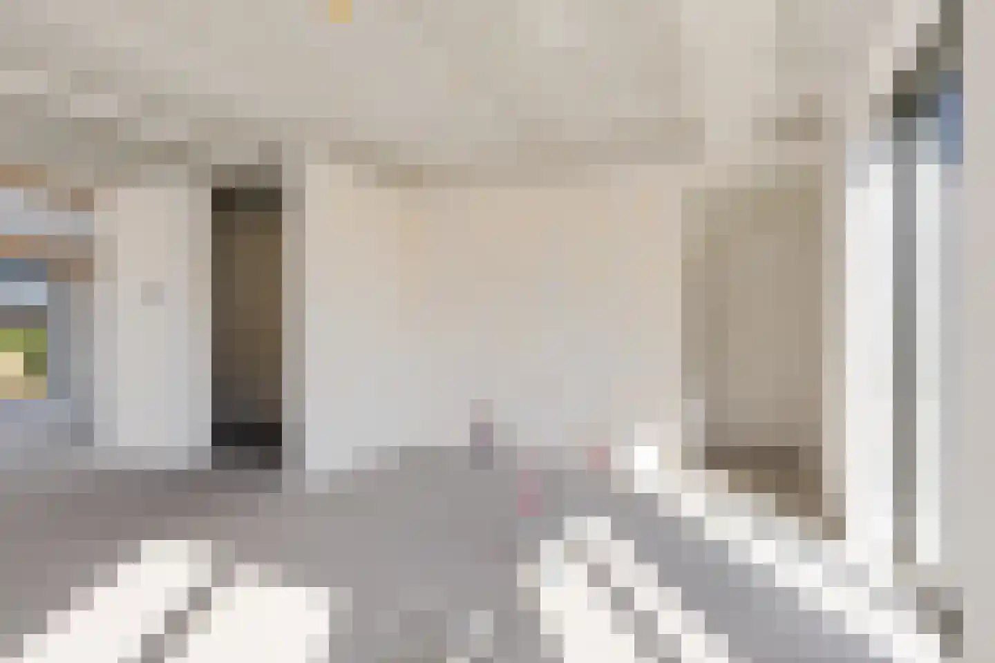 Rietkamer 45 Genemuiden thumbnail 19
