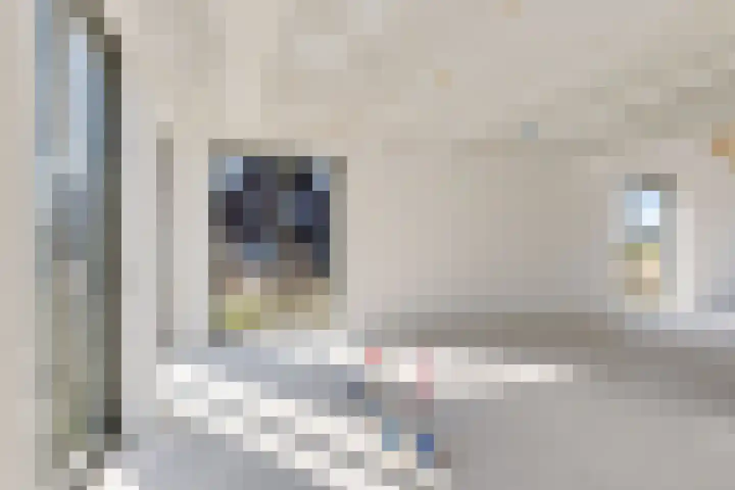 Rietkamer 45 Genemuiden thumbnail 20