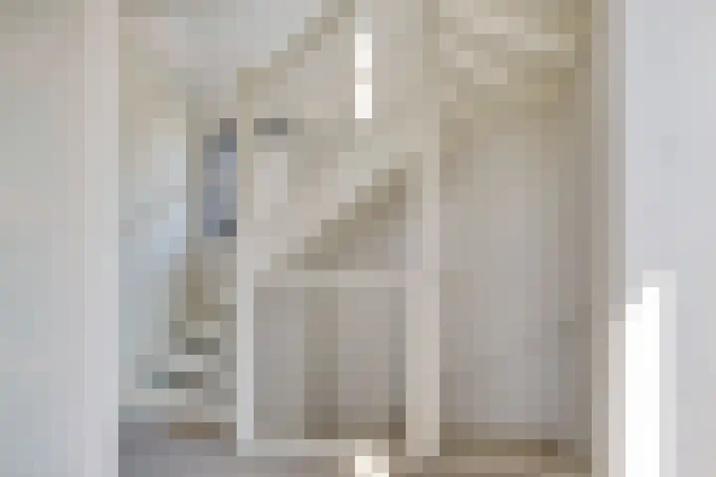 Rietkamer 45 Genemuiden thumbnail 24