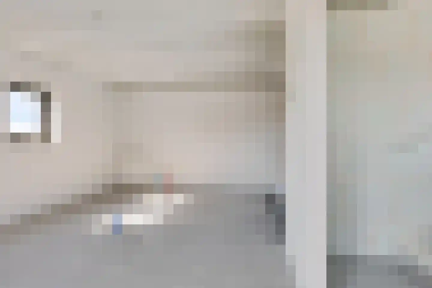 Rietkamer 45 Genemuiden thumbnail 25