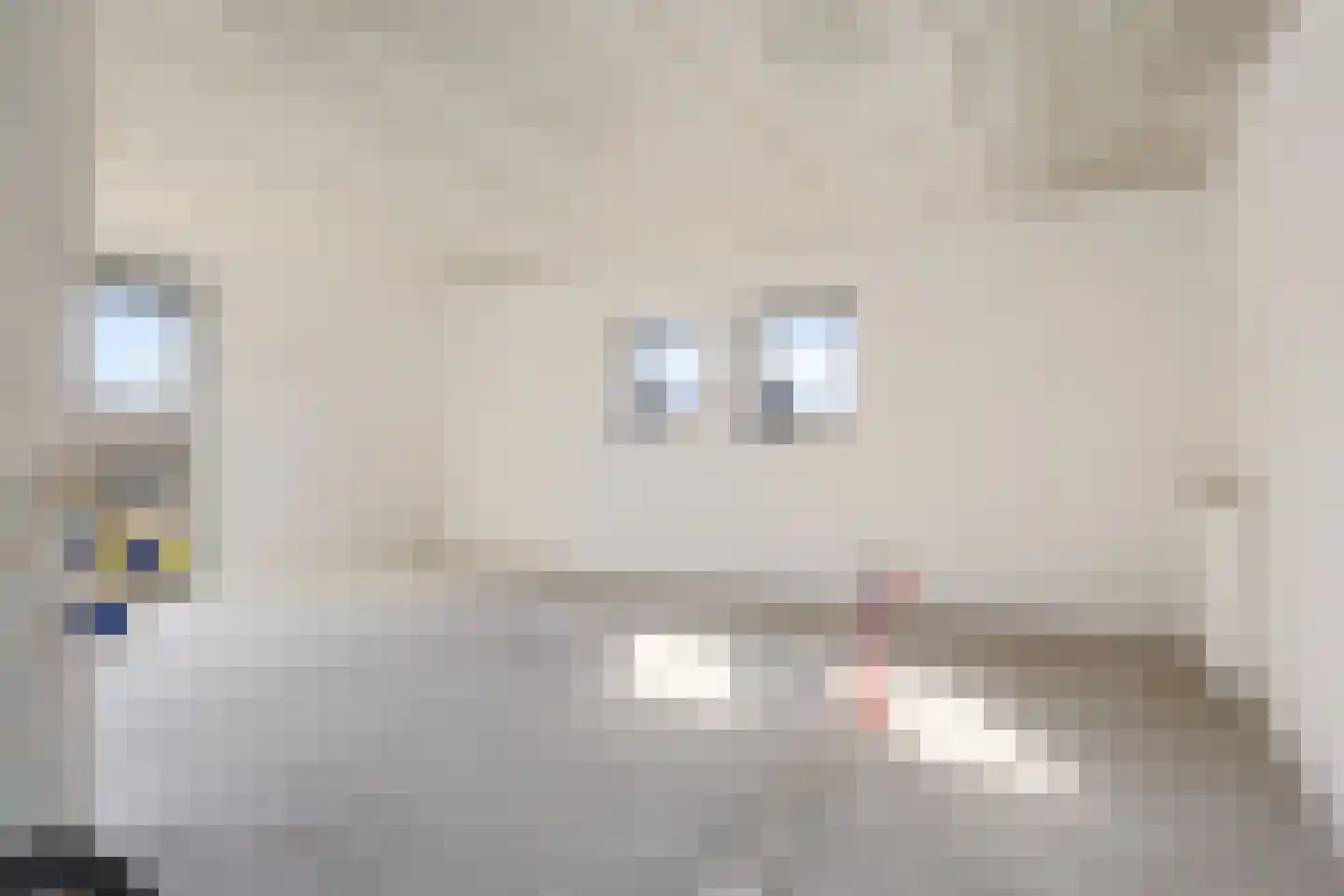 Rietkamer 45 Genemuiden thumbnail 30