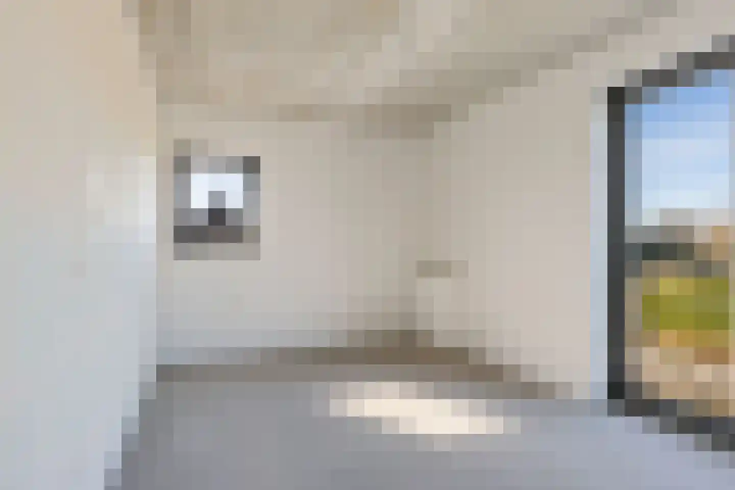 Rietkamer 45 Genemuiden thumbnail 31