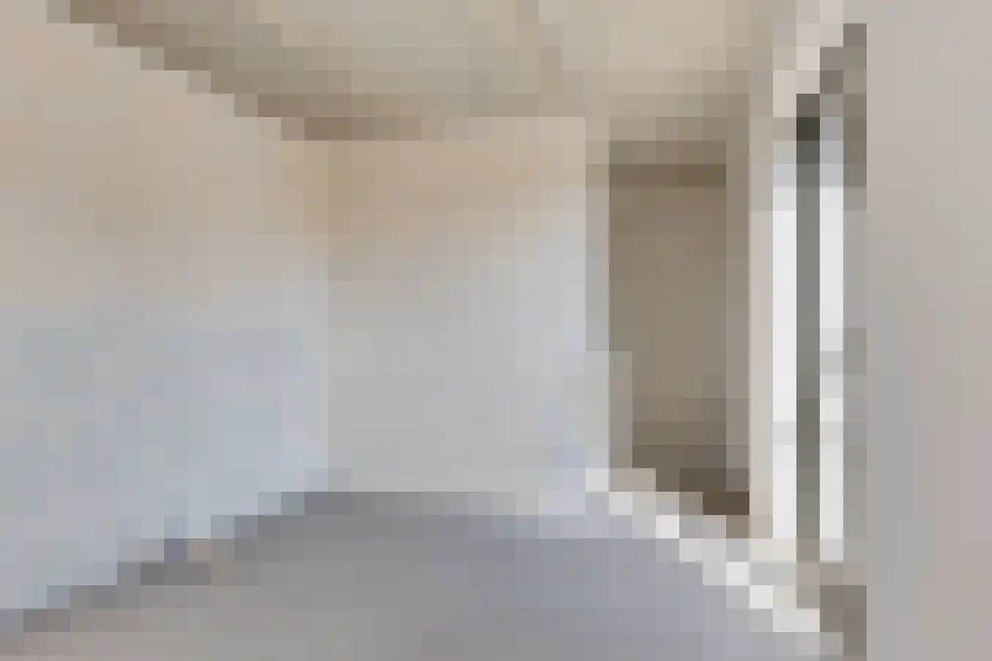 Rietkamer 45 Genemuiden thumbnail 36