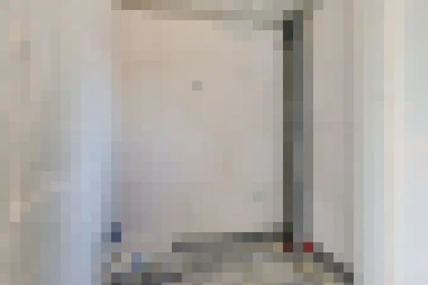 Rietkamer 45 Genemuiden thumbnail 38