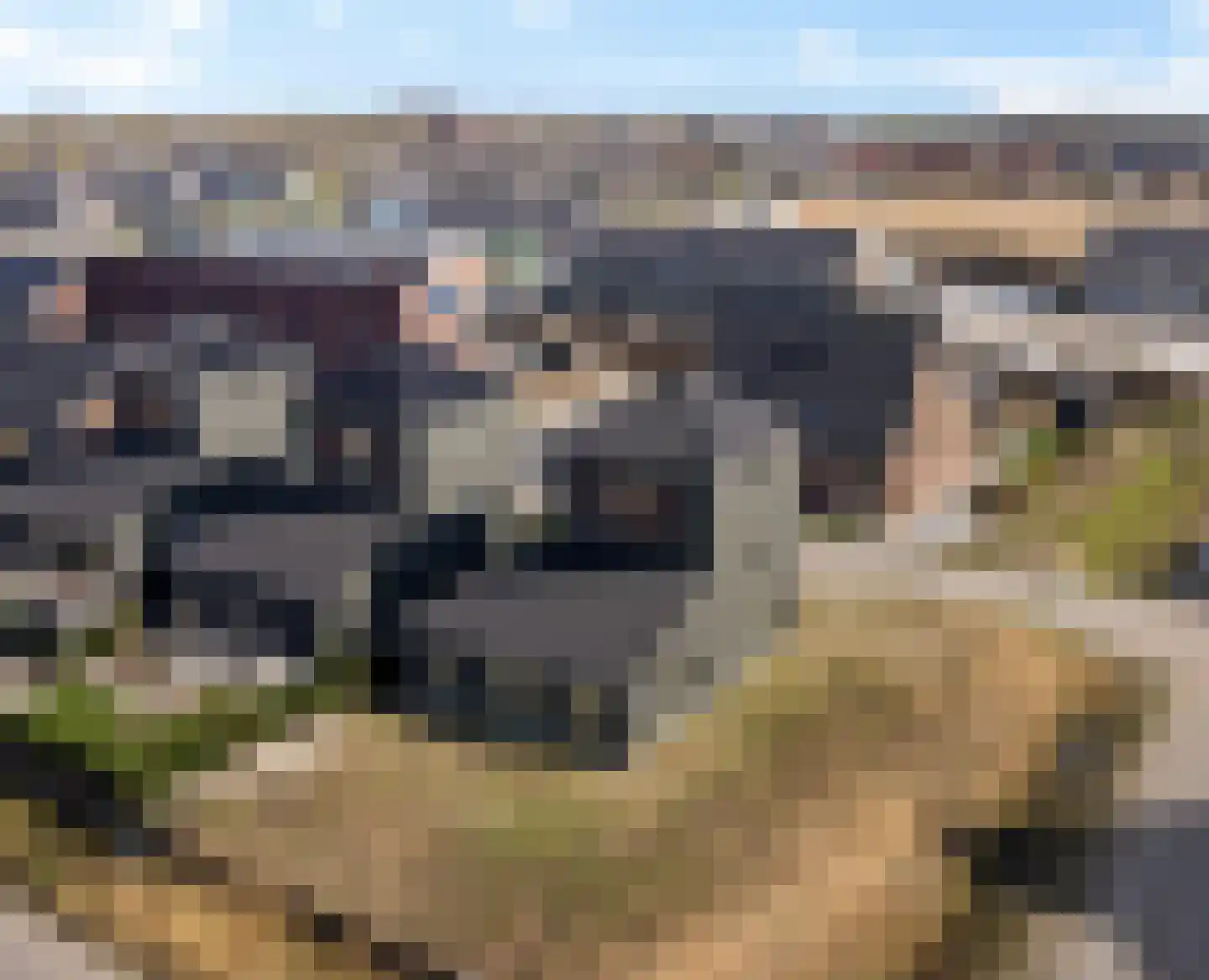 Rietkamer 45 Genemuiden thumbnail 44