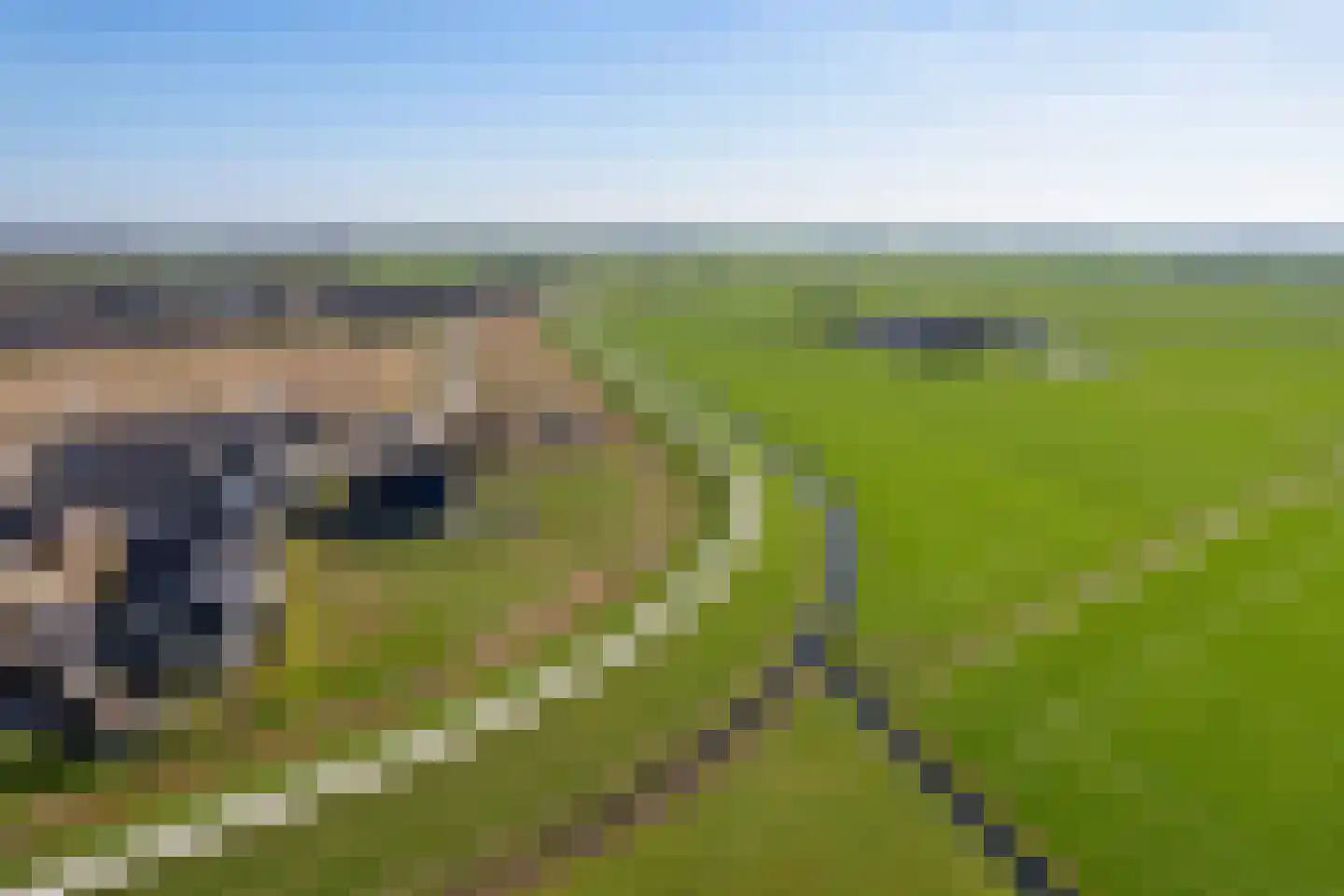 Rietkamer 45 Genemuiden thumbnail 7