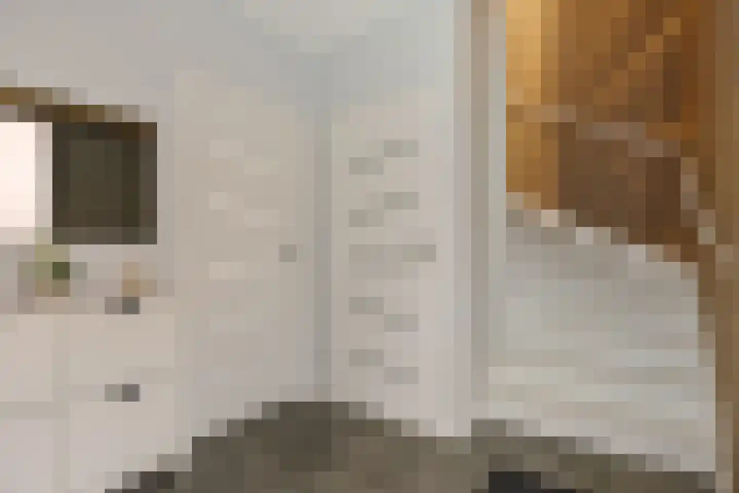 Rietkamer 57 Genemuiden thumbnail 10