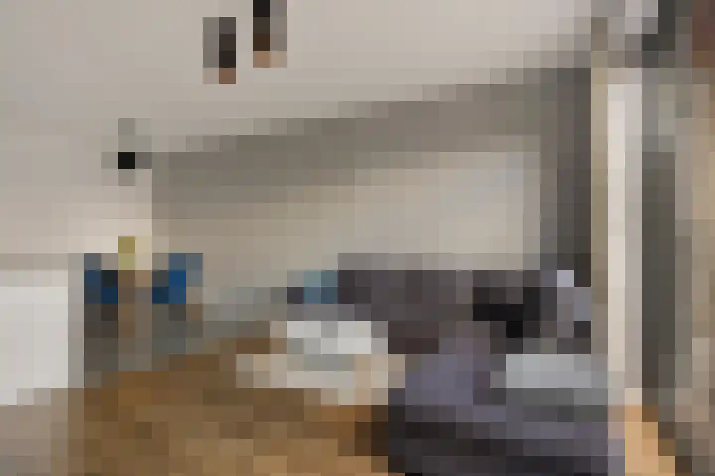 Rietkamer 57 Genemuiden thumbnail 12