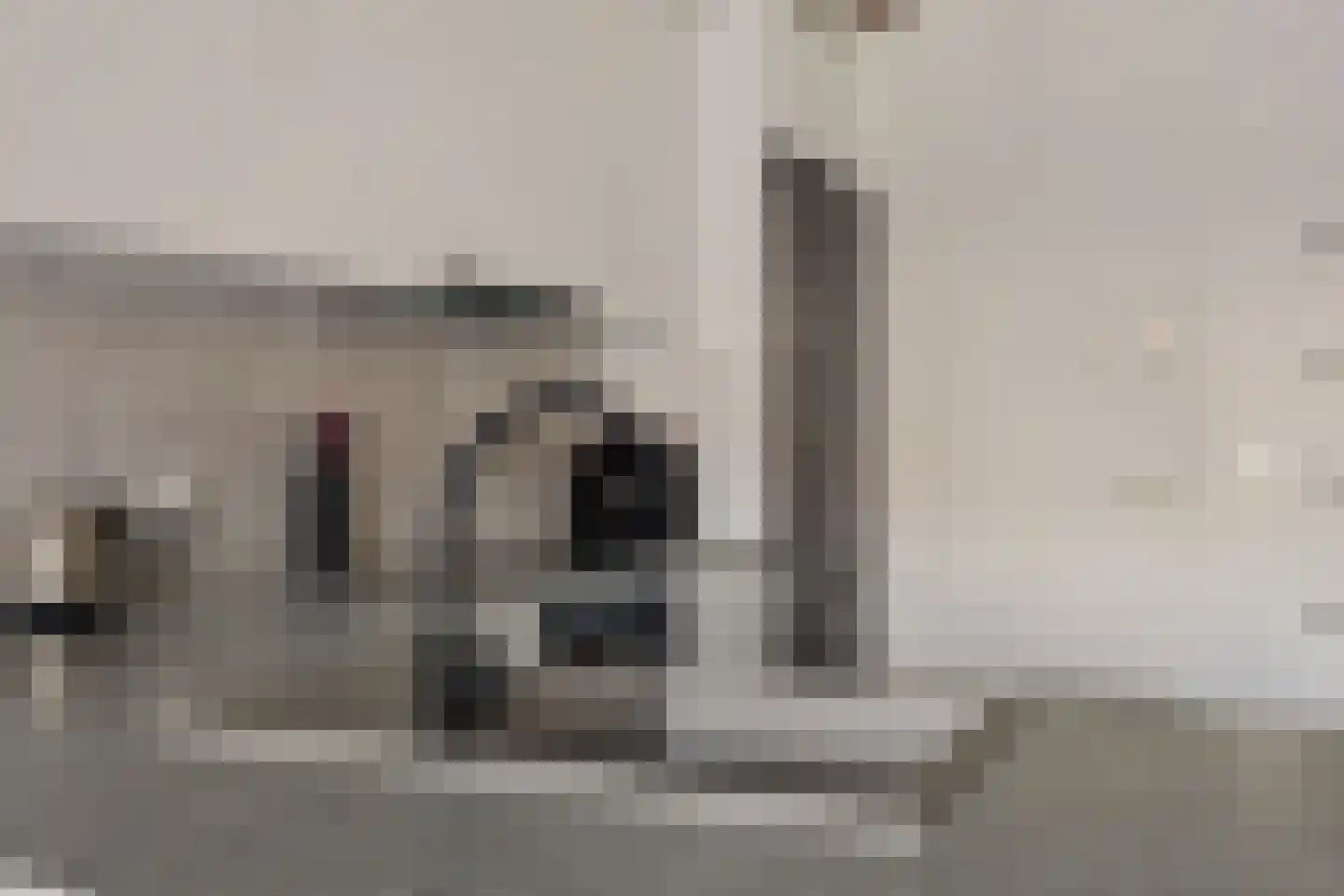 Rietkamer 57 Genemuiden thumbnail 16