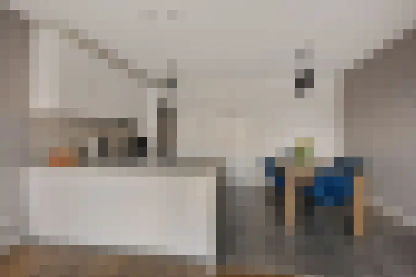 Rietkamer 57 Genemuiden thumbnail 17