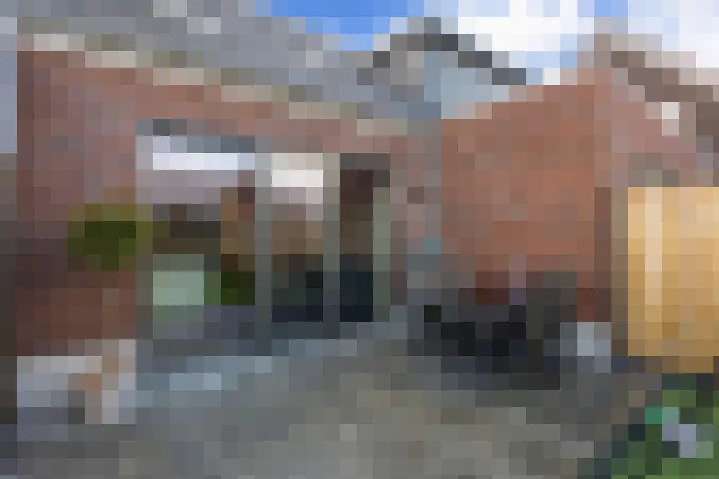Rietkamer 57 Genemuiden thumbnail 19