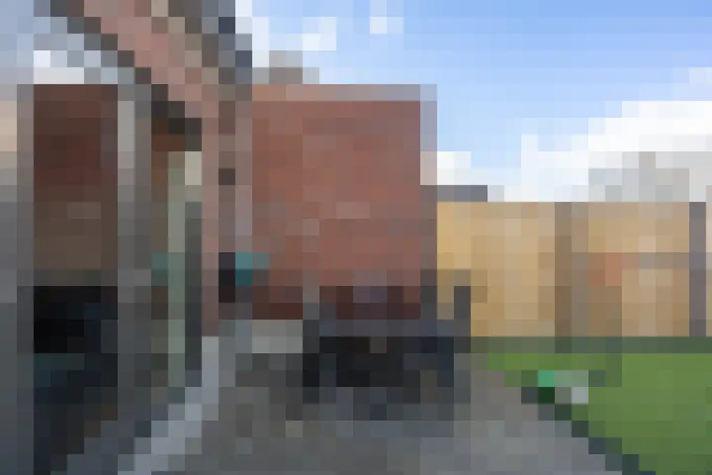 Rietkamer 57 Genemuiden thumbnail 24