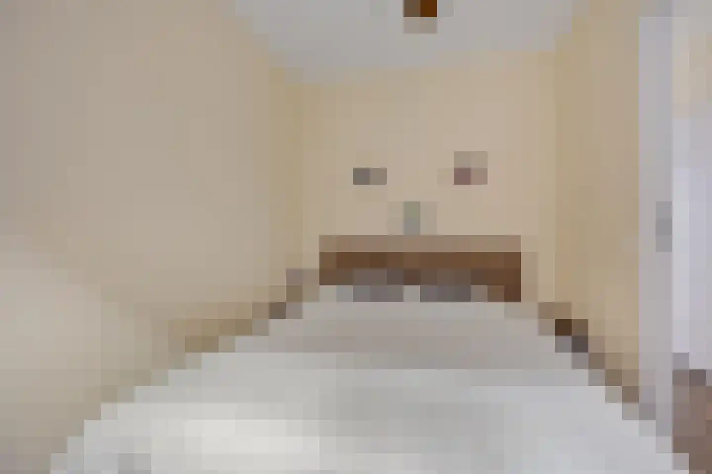 Rietkamer 57 Genemuiden thumbnail 26