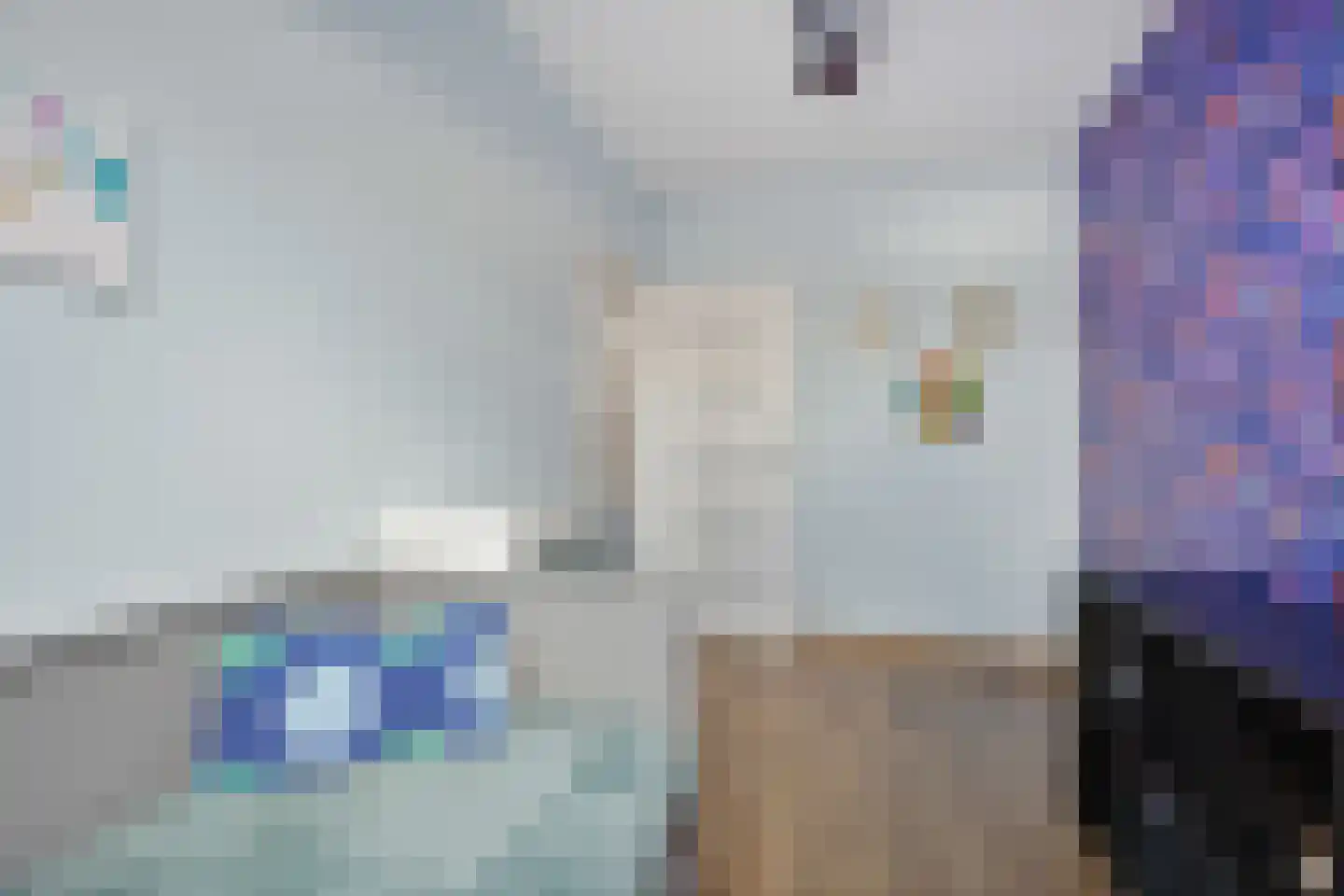 Rietkamer 57 Genemuiden thumbnail 27