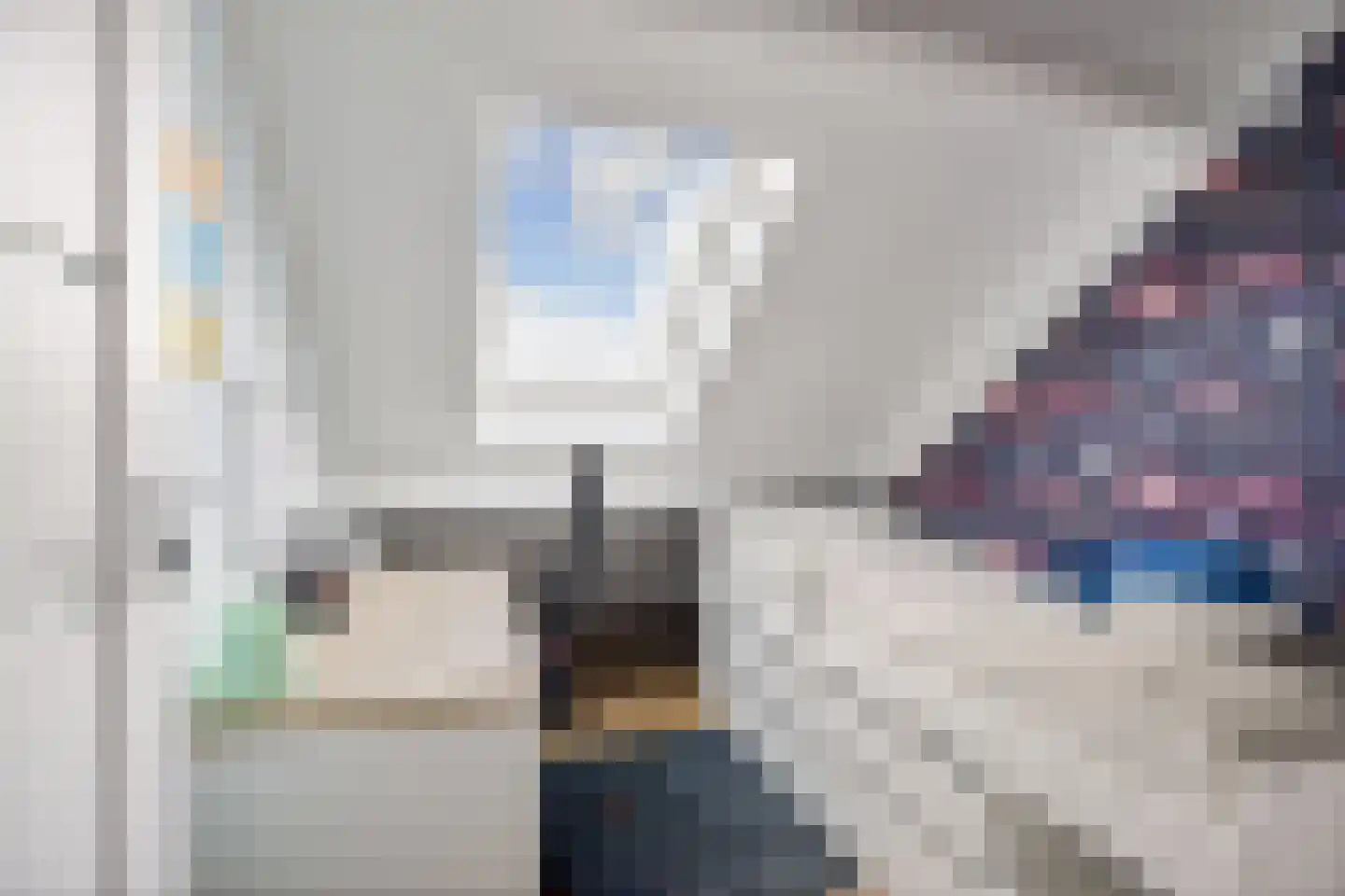 Rietkamer 57 Genemuiden thumbnail 29