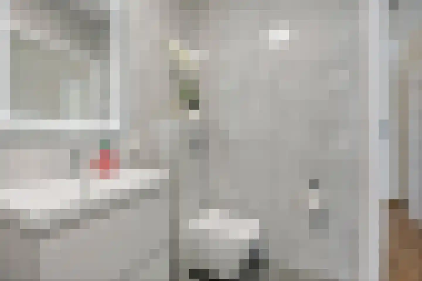 Rietkamer 57 Genemuiden thumbnail 31