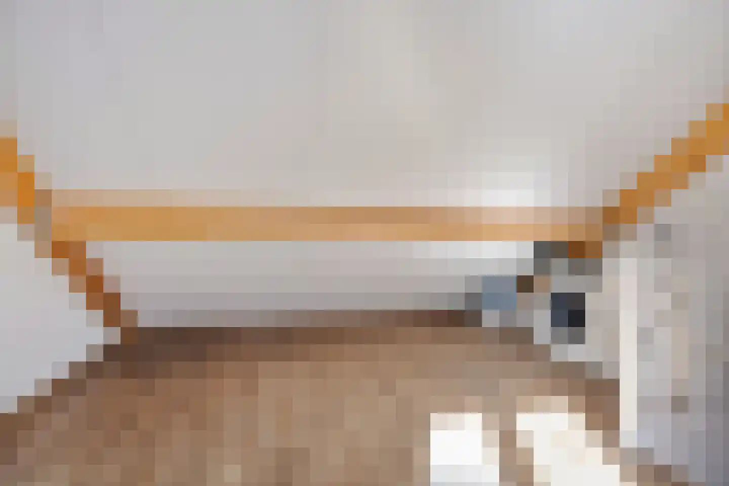 Rietkamer 57 Genemuiden thumbnail 33