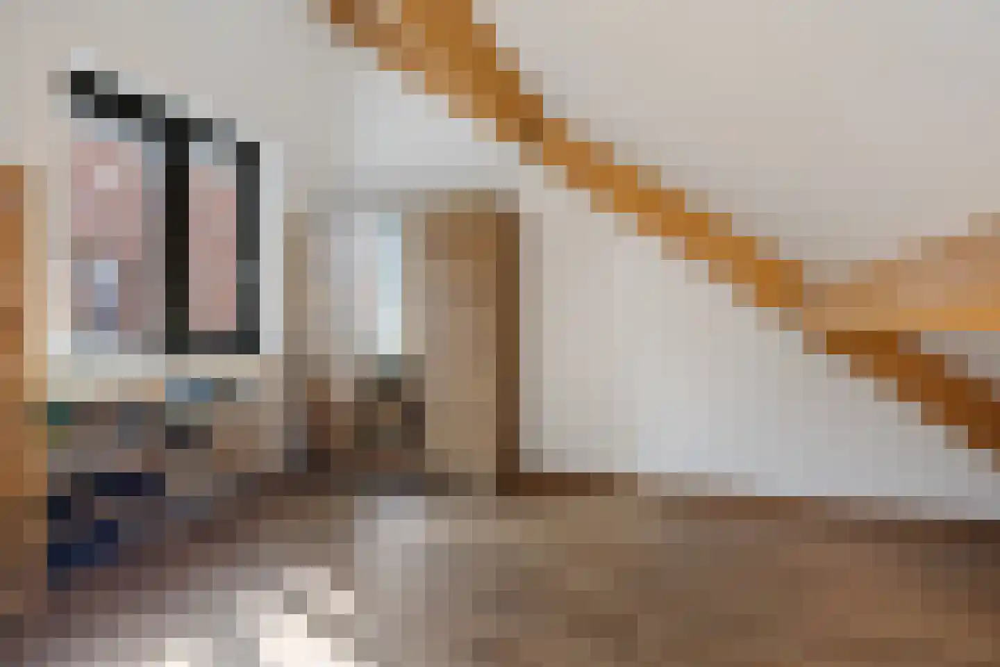 Rietkamer 57 Genemuiden thumbnail 34