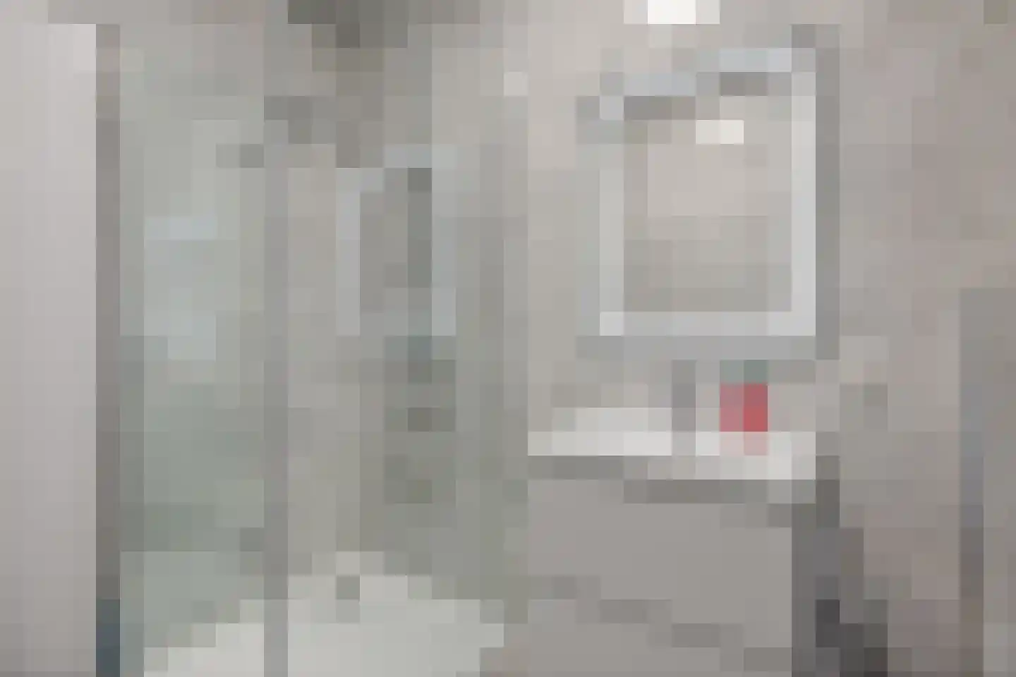Rietkamer 57 Genemuiden thumbnail 4