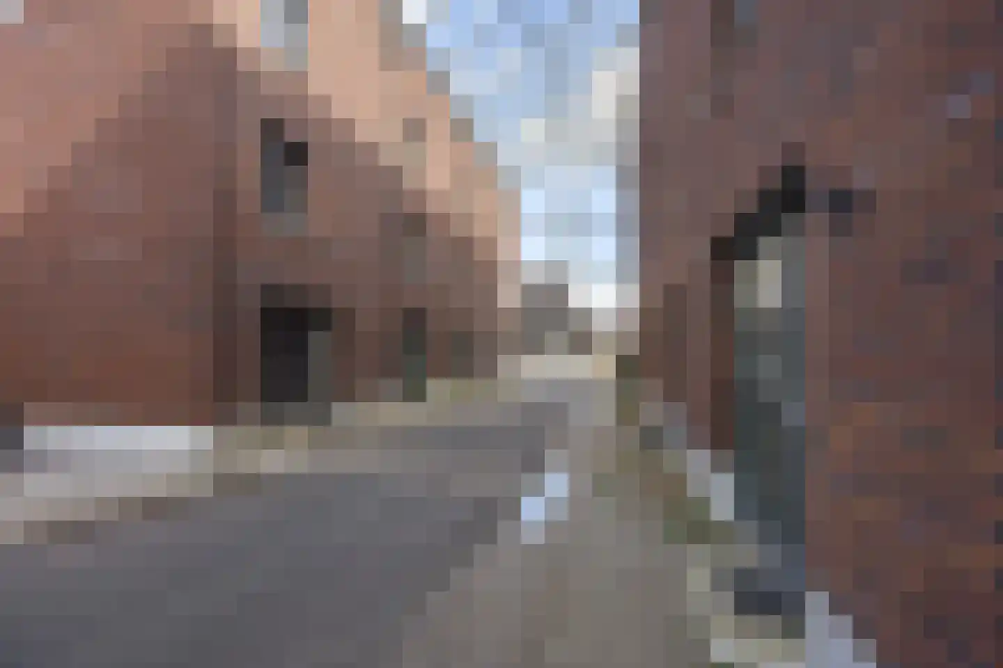 Rietkamer 57 Genemuiden thumbnail 6