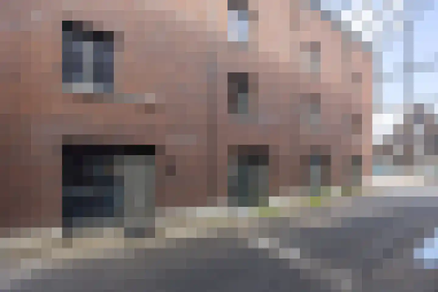 Rietkamer 57 Genemuiden thumbnail 7