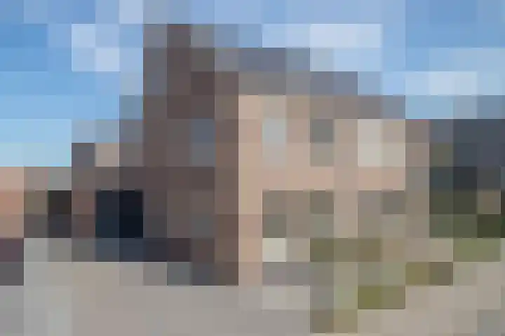 Rietkamer 8 Genemuiden