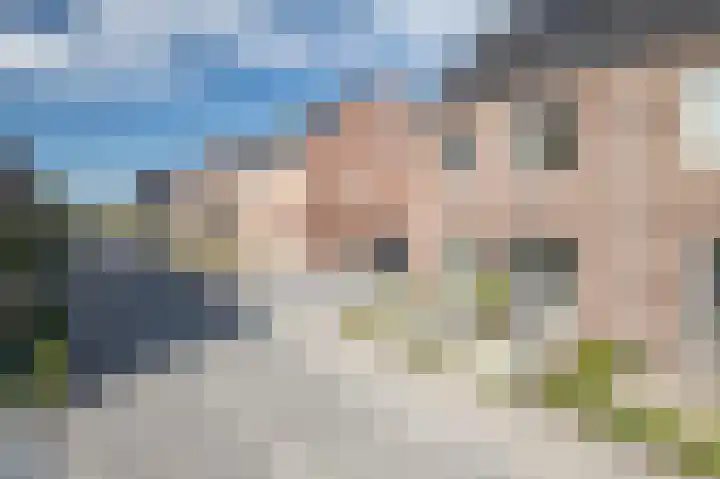 Rietkamer 8 Genemuiden thumbnail 10
