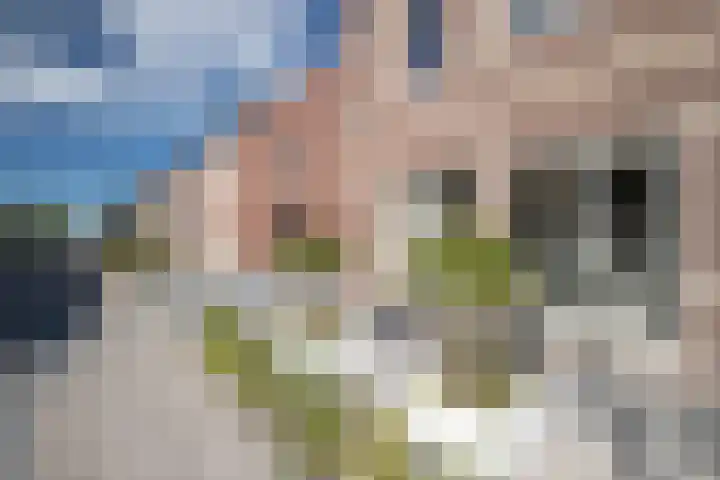 Rietkamer 8 Genemuiden thumbnail 12