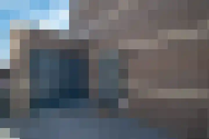 Rietkamer 8 Genemuiden thumbnail 13