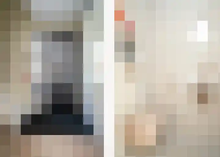 Rietkamer 8 Genemuiden thumbnail 14