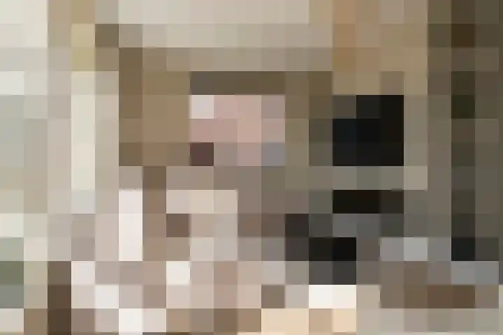 Rietkamer 8 Genemuiden thumbnail 15