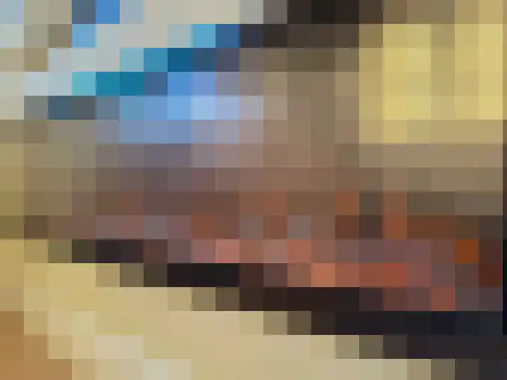 Rietkamer 8 Genemuiden thumbnail 17