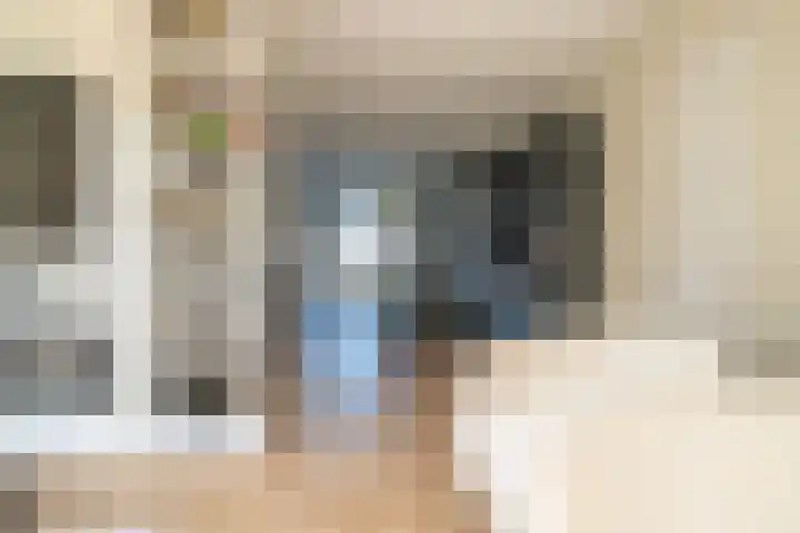 Rietkamer 8 Genemuiden thumbnail 18