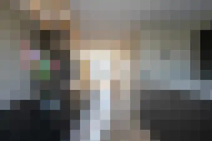 Rietkamer 8 Genemuiden thumbnail 20