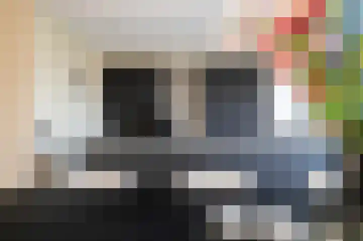 Rietkamer 8 Genemuiden thumbnail 21