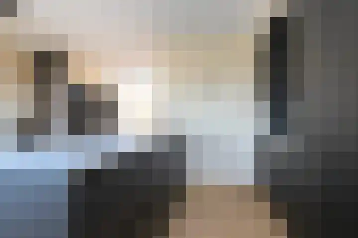 Rietkamer 8 Genemuiden thumbnail 22