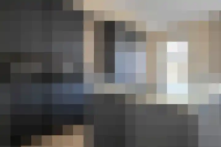 Rietkamer 8 Genemuiden thumbnail 23