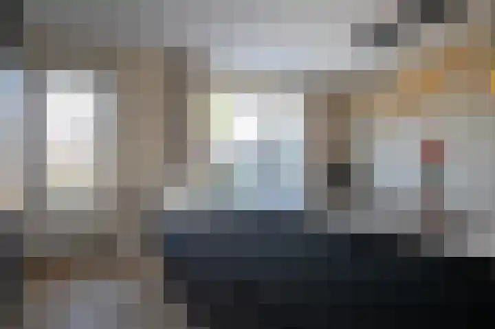 Rietkamer 8 Genemuiden thumbnail 24
