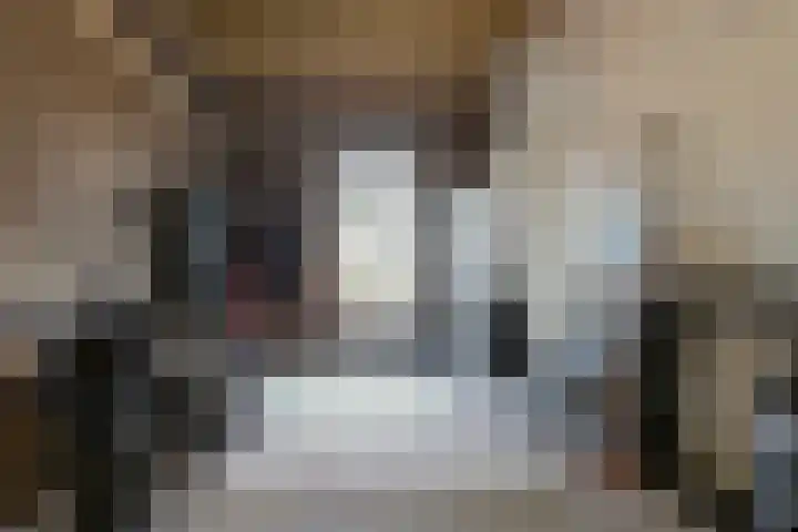 Rietkamer 8 Genemuiden thumbnail 27