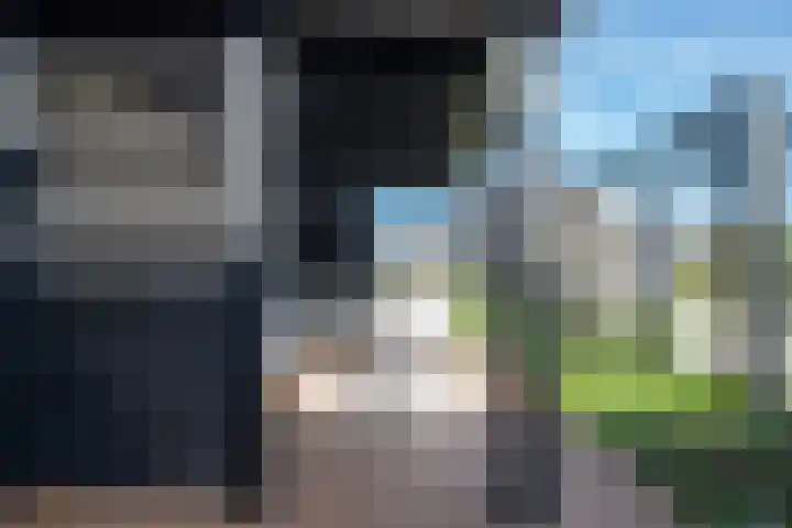 Rietkamer 8 Genemuiden thumbnail 28