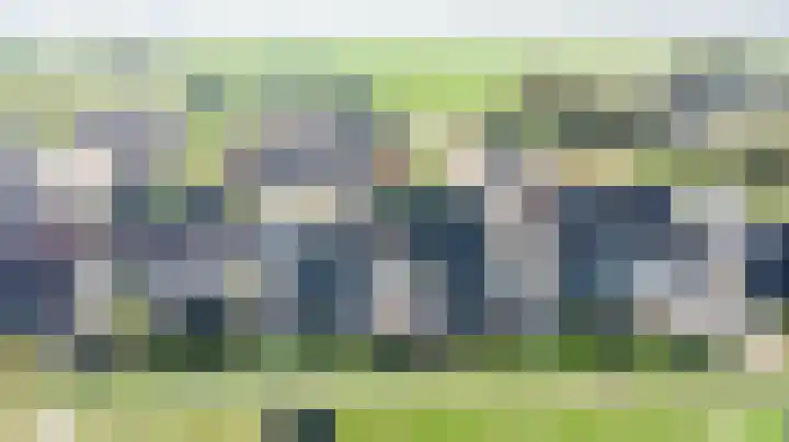 Rietkamer 8 Genemuiden thumbnail 29