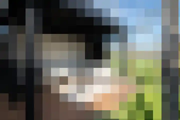 Rietkamer 8 Genemuiden thumbnail 30