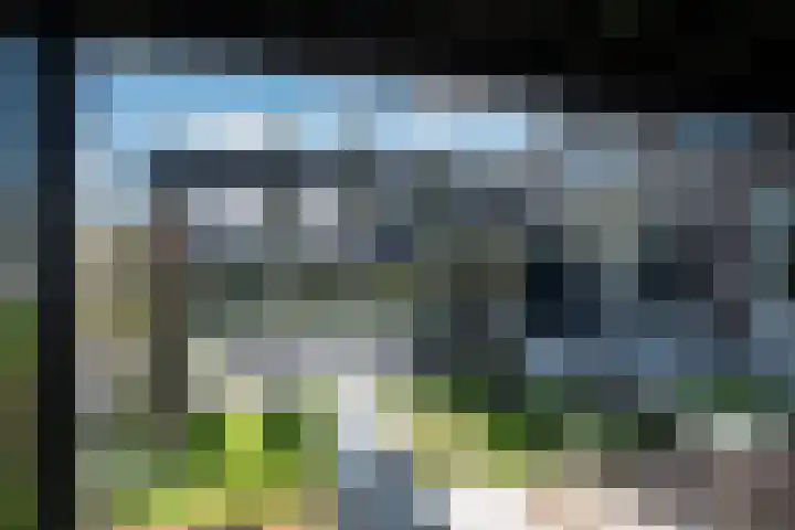 Rietkamer 8 Genemuiden thumbnail 31