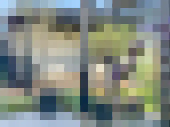 Rietkamer 8 Genemuiden thumbnail 32