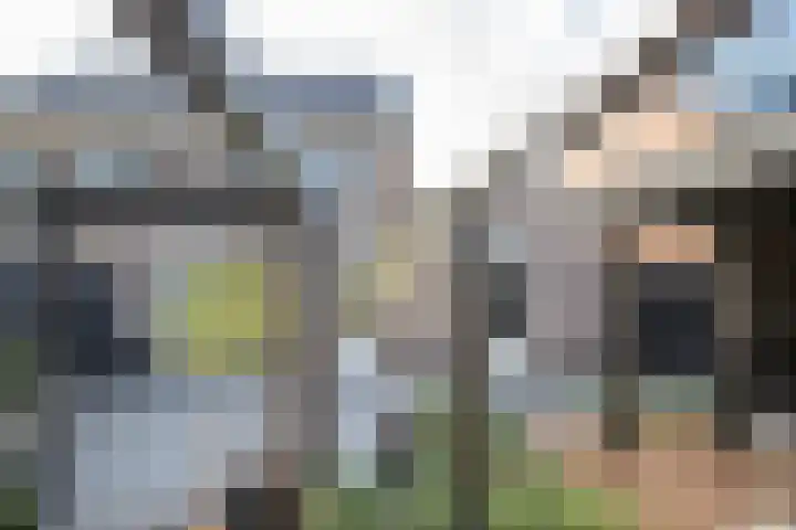 Rietkamer 8 Genemuiden thumbnail 33