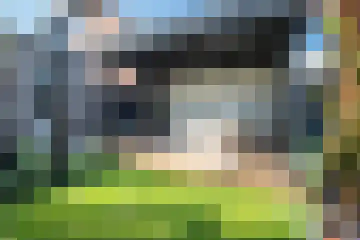 Rietkamer 8 Genemuiden thumbnail 34