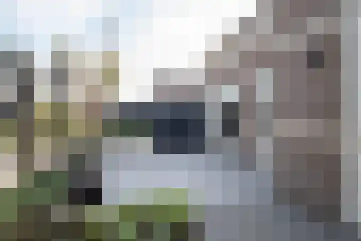 Rietkamer 8 Genemuiden thumbnail 35