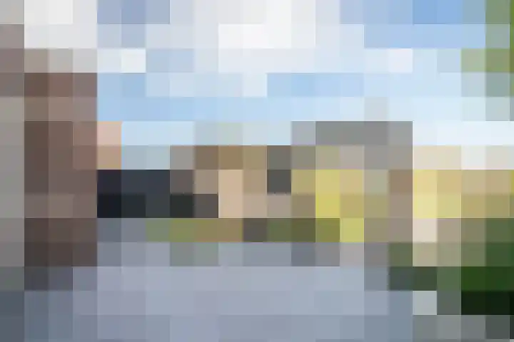 Rietkamer 8 Genemuiden thumbnail 36
