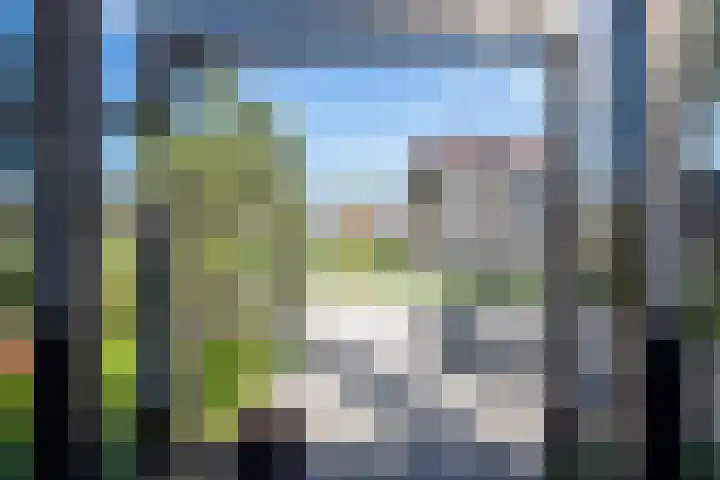 Rietkamer 8 Genemuiden thumbnail 38